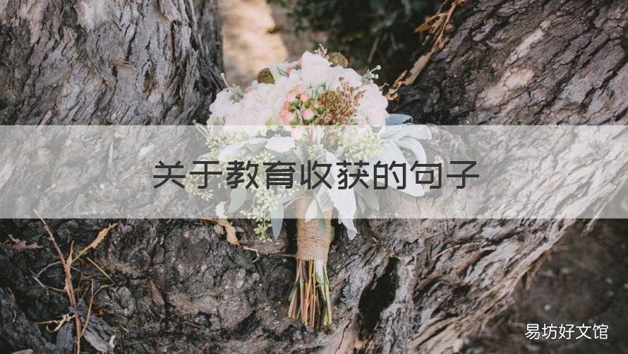 关于教育收获的句子 关于教育收获的名言名句