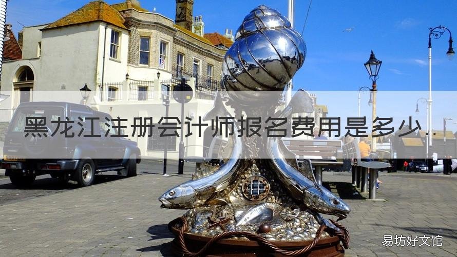 黑龙江注册会计师报名费用是多少 黑龙江注会报名费用是多少钱