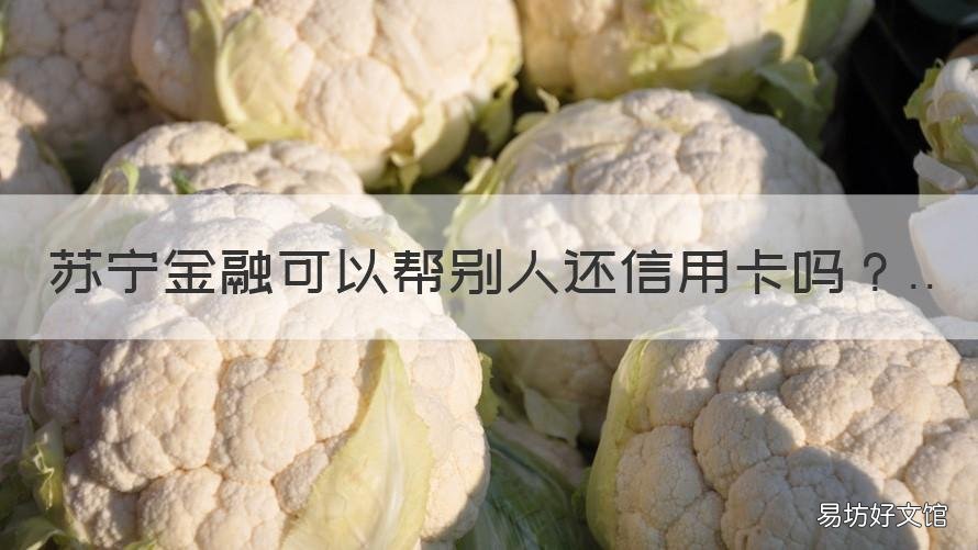 苏宁金融可以帮别人还信用卡吗 苏宁金融怎么帮别人还款
