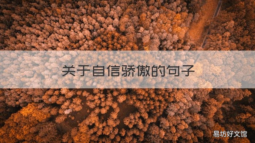 关于自信骄傲的句子 关于自信骄傲的句子摘抄