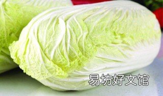 清炖白菜怎么炖好吃 炖白菜怎样炖好吃