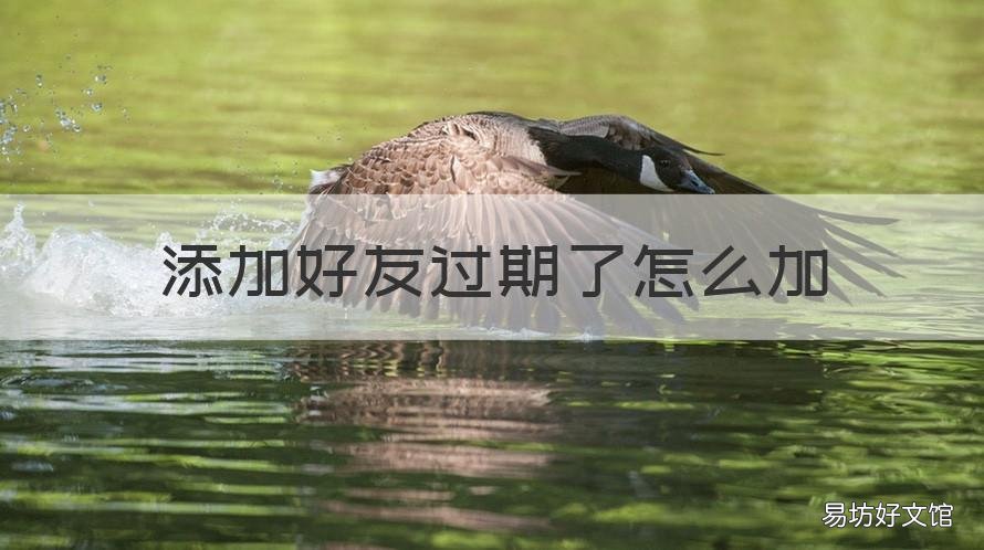 添加好友过期了怎么加 添加好友过期了怎么加回去