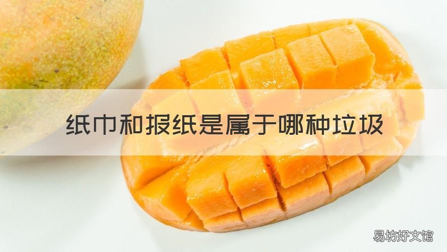 纸巾和报纸是属于哪种垃圾 纸巾属于纸类垃圾吗