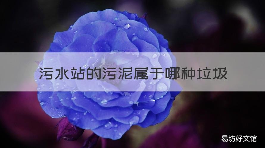 污水站的污泥属于哪种垃圾 污水处理站污泥是否属于危废