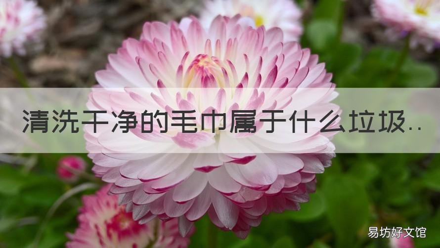 清洗干净的毛巾属于什么垃圾 毛巾是干垃圾还是可回收垃圾