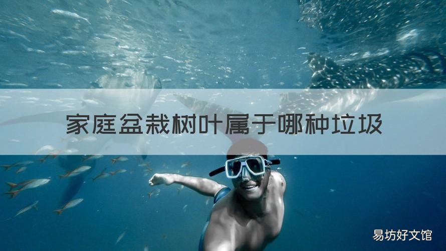 家庭盆栽树叶属于哪种垃圾 家庭盆栽废弃树叶属于哪种垃圾