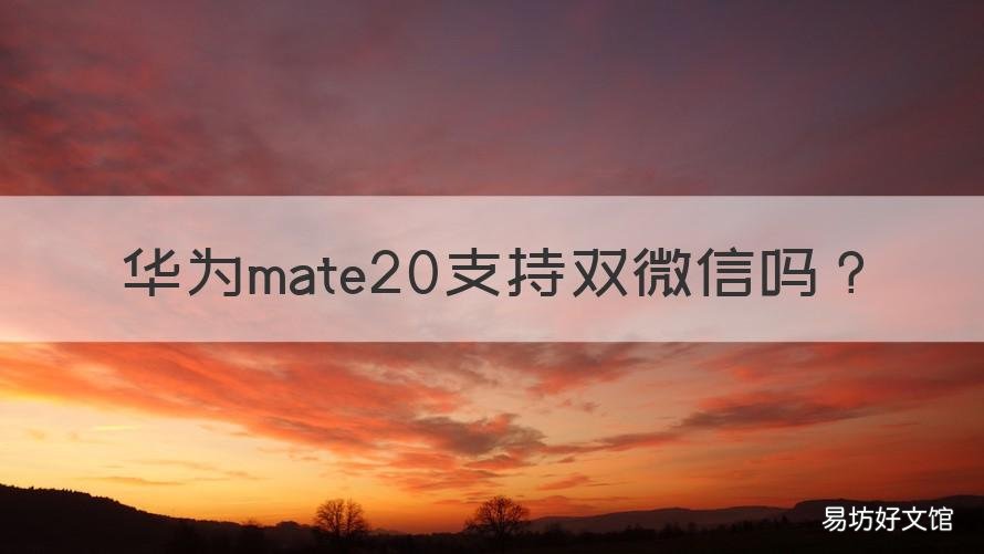 华为mate20支持双微信吗 华为mate20支持微信双开吗