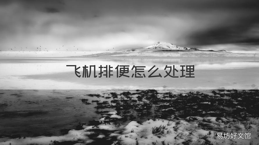 飞机排便怎么处理 飞机如何排粪便