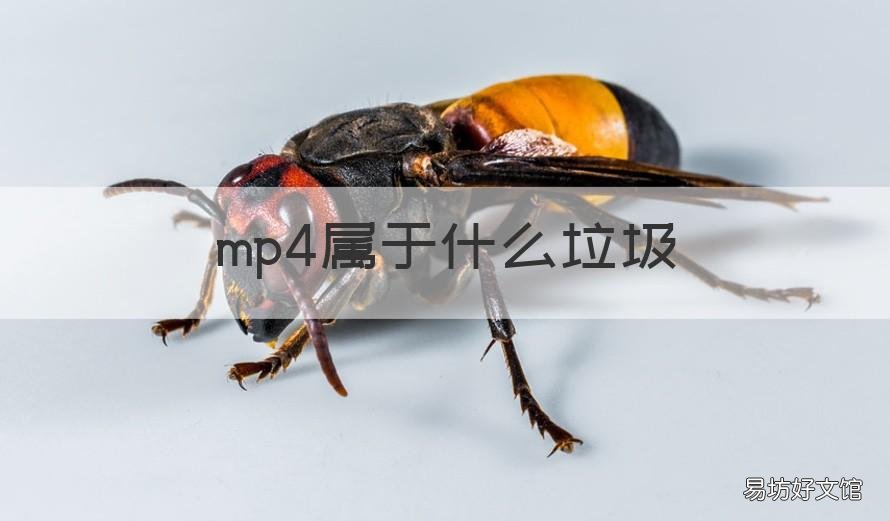 mp4属于什么垃圾 mp4属于什么垃圾产品