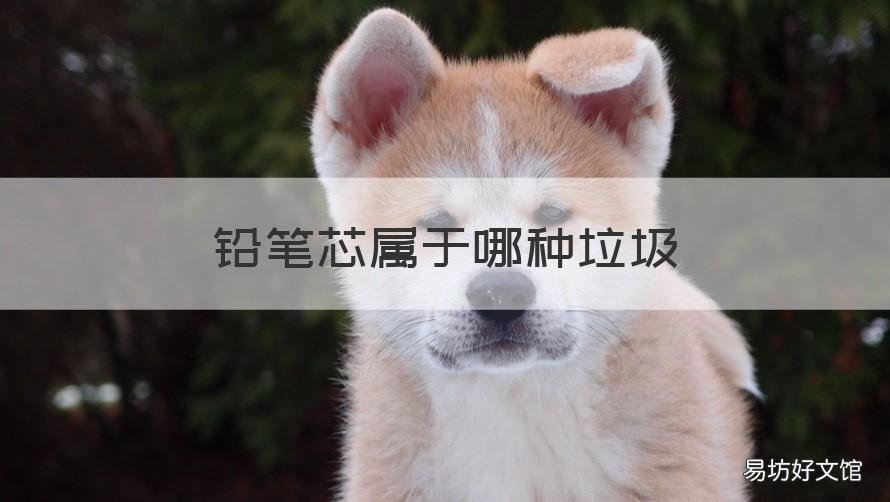 铅笔芯属于哪种垃圾 铅笔芯属于哪种垃圾分类类别