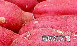 红薯的新吃法 红薯新吃法红薯面包