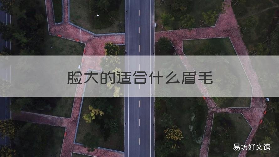 脸大的适合什么眉毛 脸大的适合什么眉毛图片