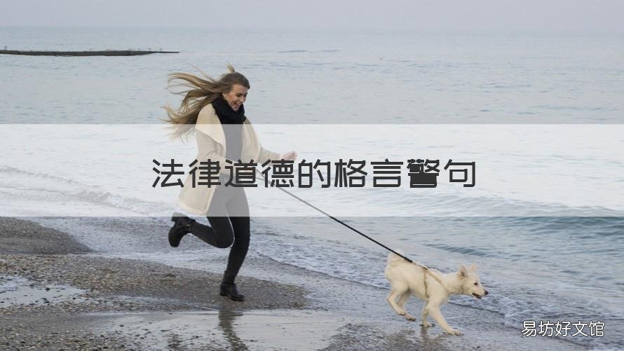 法律道德的格言警句 法律与道德的格言