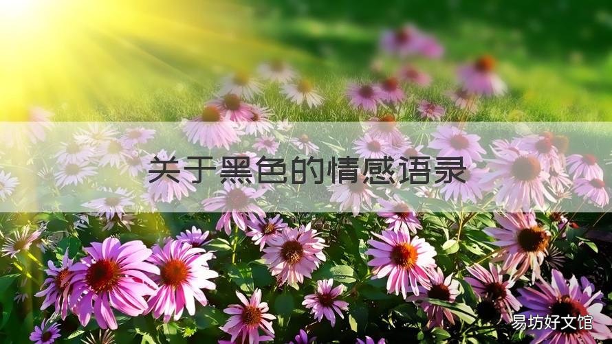 关于黑色的情感语录 关于黑色的经典语录