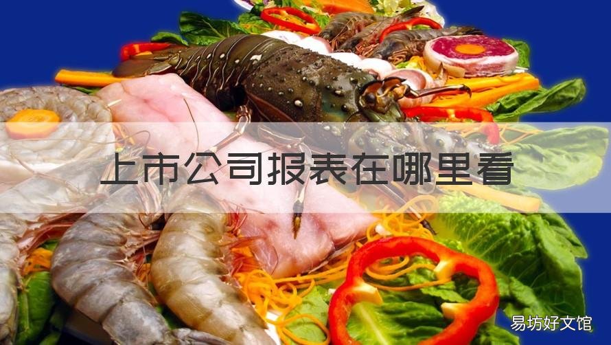 上市公司报表在哪里看 上市公司的报表在哪看