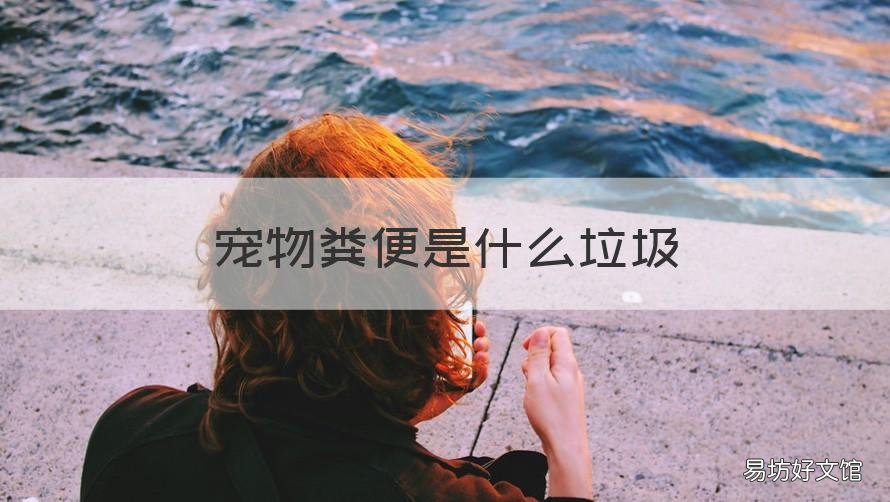 宠物粪便是什么垃圾 宠物粪便是什么垃圾类型