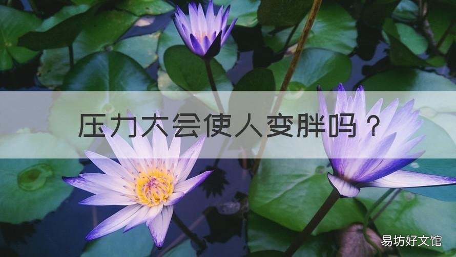 压力大会使人变胖吗