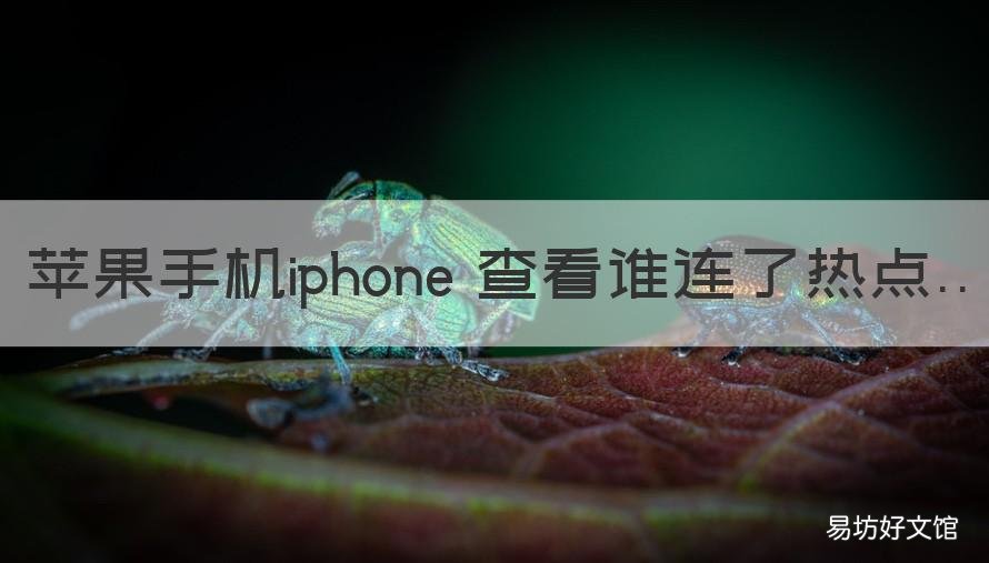 苹果手机iphone 查看谁连了热点 iPhone怎么查看谁连了热点