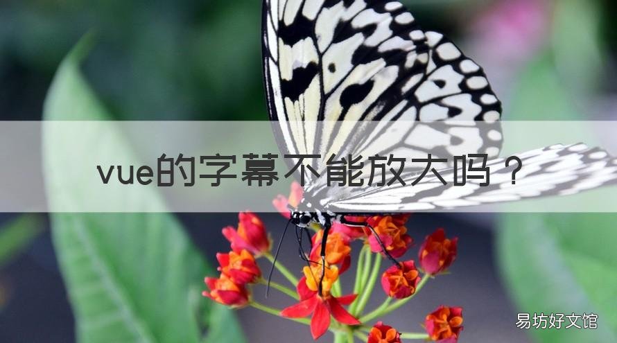 vue的字幕不能放大吗 vue可以自动加字幕吗