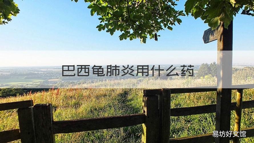 巴西龟肺炎用什么药 巴西龟肺炎好治吗