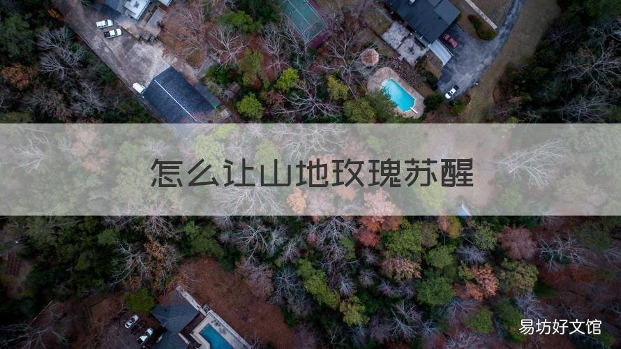 怎么让山地玫瑰苏醒 山地玫瑰苏醒后枯叶要摘掉吗