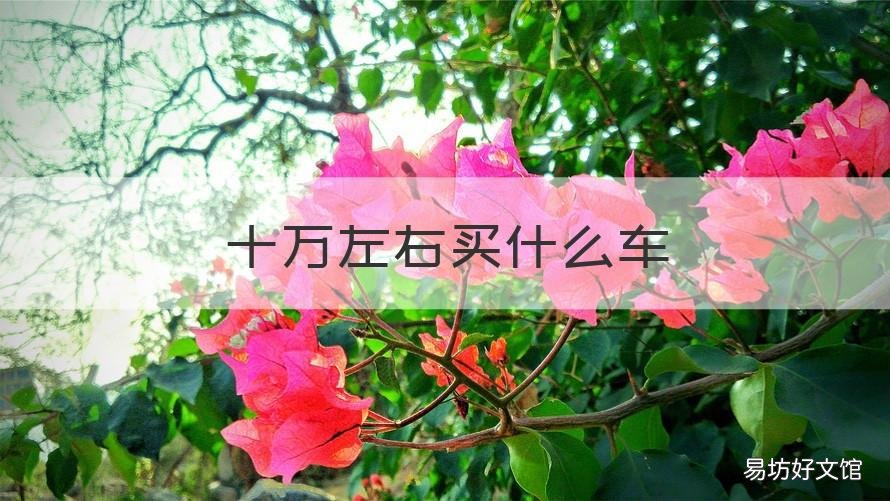 十万左右买什么车 十万左右买什么车好认准朗逸