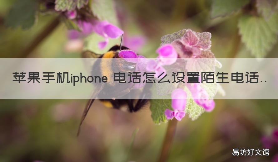 苹果手机iphone 电话怎么设置陌生电话 苹果手机怎么设置陌号电话来电
