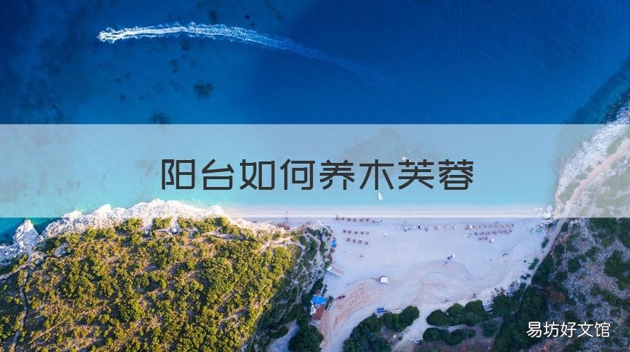 阳台如何养木芙蓉 吊芙蓉能在阳台养吗