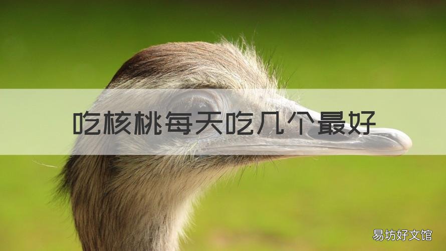 吃核桃每天吃几个最好 吃核桃一天吃几个最好