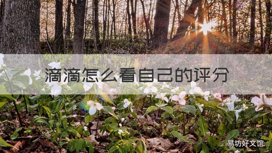 滴滴怎么看自己的评分 怎么看滴滴评价