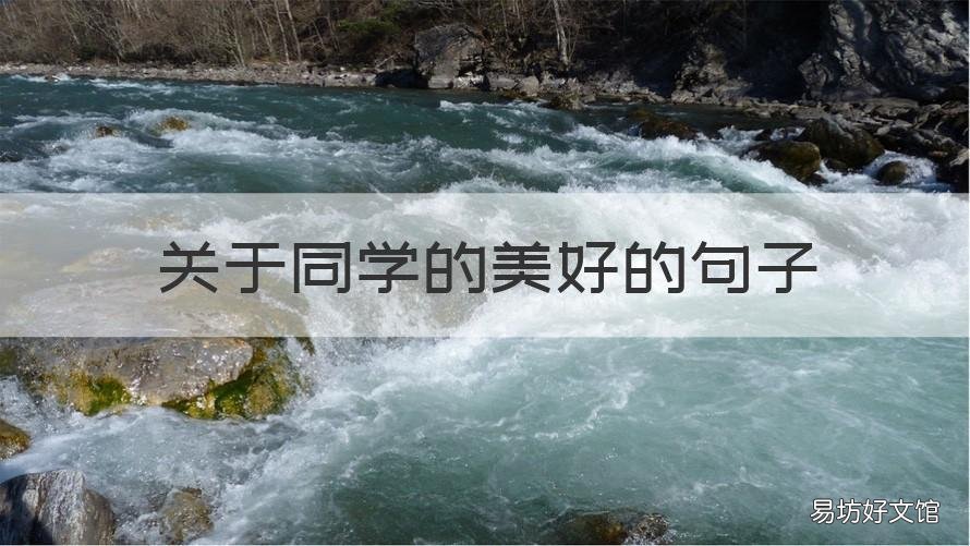 关于同学的美好的句子 赞美同学的句子短句子