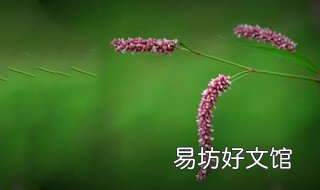 辣蓼草怎么捕鱼 辣蓼草捕鱼视频