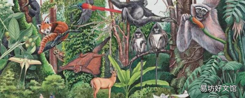 保护生物多样性的意义 建立基因库对保护生物多样性的意义
