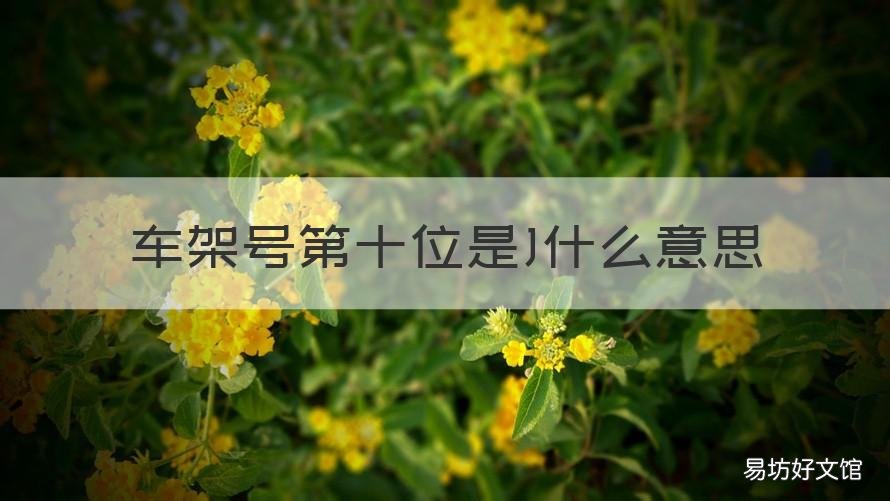 车架号第十位是J什么意思 车架号第10位代表什么意思