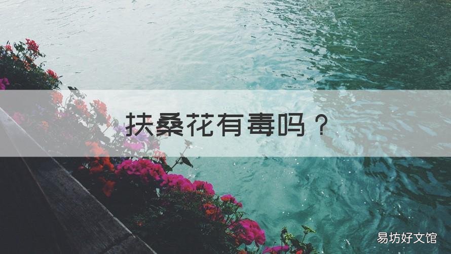 扶桑花有毒吗 扶桑花有毒吗能吃吗
