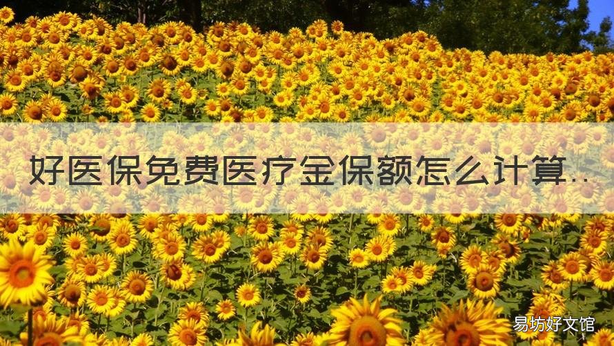 好医保免费医疗金保额怎么计算 好医保免费医疗金保障额度6元