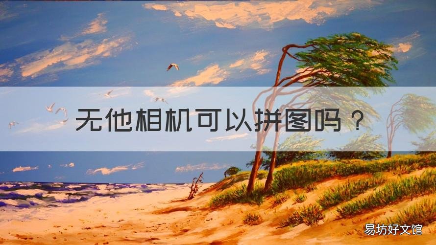 无他相机可以拼图吗 无他相机可以拼图吗苹果