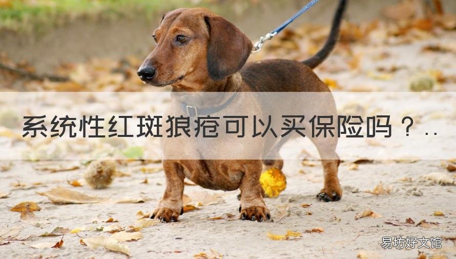 系统性红斑狼疮可以买保险吗 系统性红斑狼疮可以投保吗?