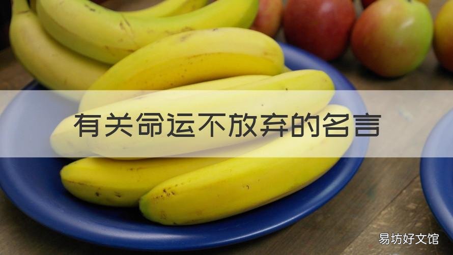 有关命运不放弃的名言 有关命运不放弃的名言名句