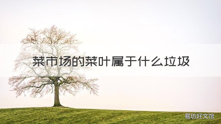 菜市场的菜叶属于什么垃圾 菜市场的菜叶属于什么垃圾类