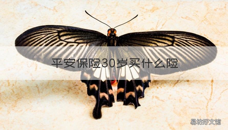 平安保险30岁买什么险 平安保险30岁买什么险种