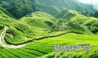 信阳光山十宝是哪十个 光山十小宝是什么