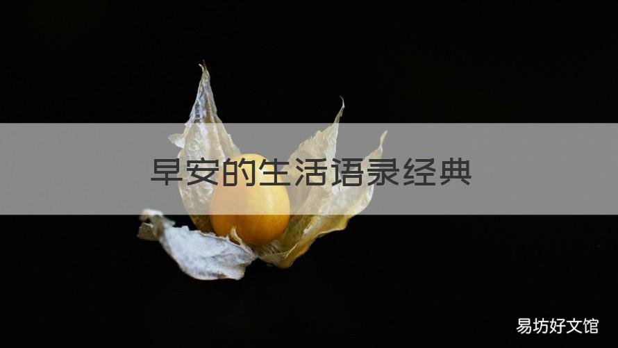 早安的生活语录经典 早安人生语录