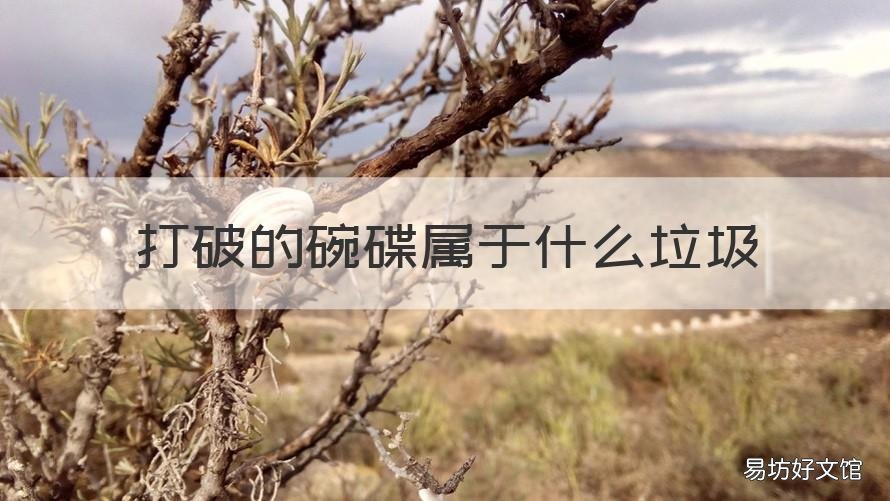 打破的碗碟属于什么垃圾 破碗碟属于什么垃圾?