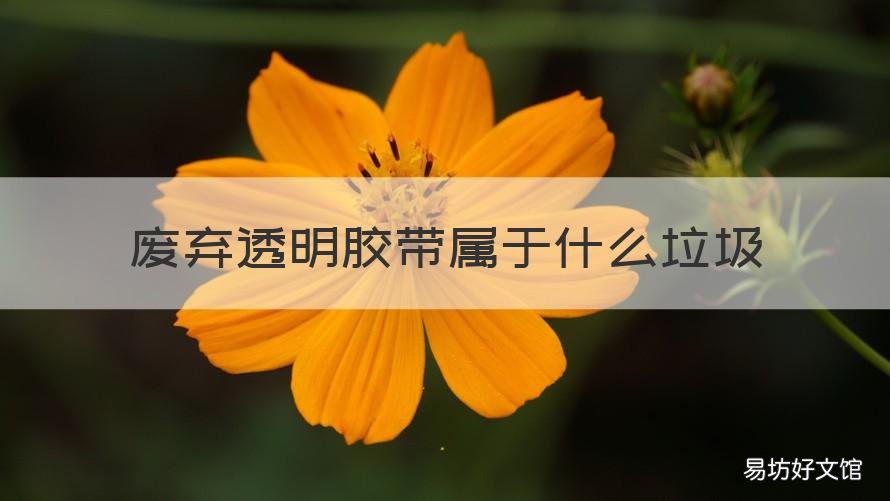 废弃透明胶带属于什么垃圾 胶带什么垃圾分类