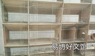 怎样用瓷砖做兔笼 红砖兔笼制作
