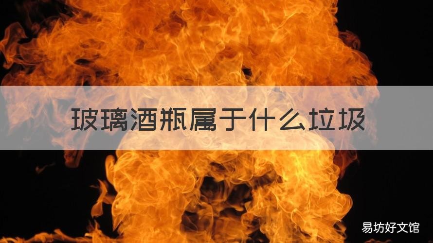 玻璃酒瓶属于什么垃圾 酒精玻璃瓶属于什么垃圾