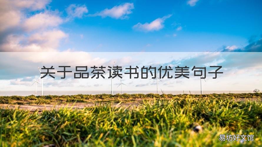 关于品茶读书的优美句子 关于读书和品茶的句子