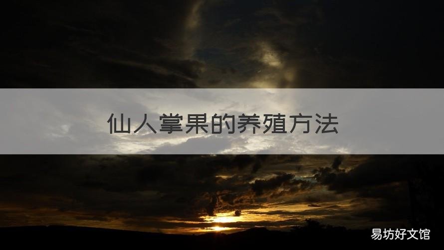仙人掌果的养殖方法 仙人掌果怎么种植技术
