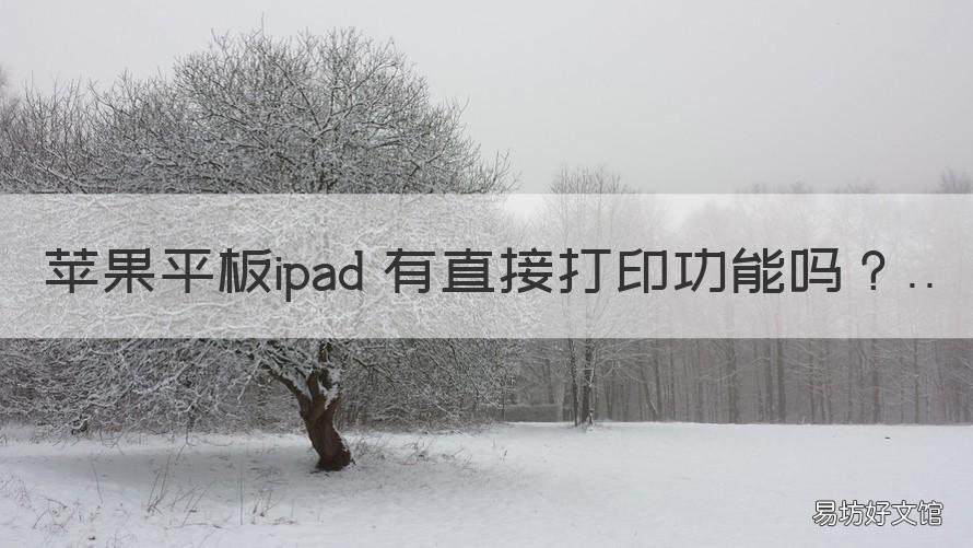 苹果平板ipad 有直接打印功能吗 ipad能打印普通的打印机吗